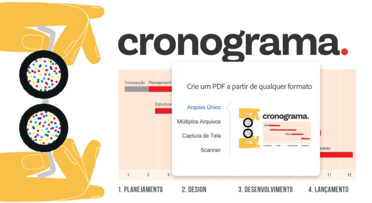 Adobe Acrobat PRO, Adobe InDesign, Colecion Web Solutions - Soluções sob medida para alavacar seu negócio.