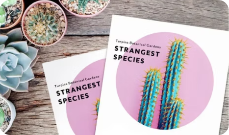 Adobe InDesign 2024, Colecion Web Solutions - Soluções sob medida para alavacar seu negócio.